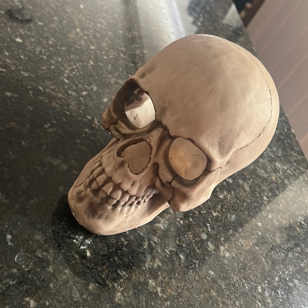 Ceramic skull